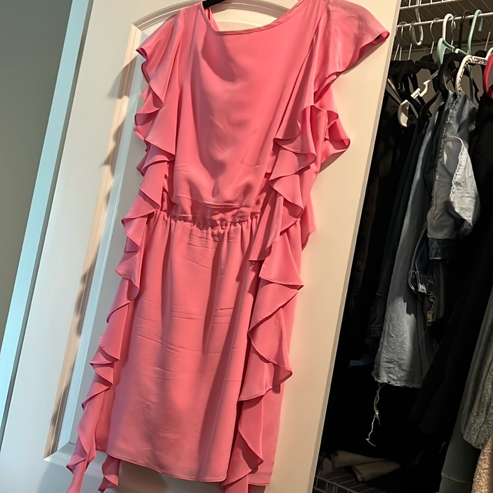 Silk Annie Griffin Dress size 2
